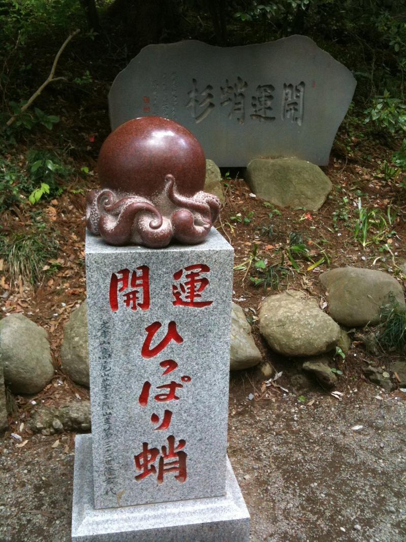 高尾山のひっぱり蛸